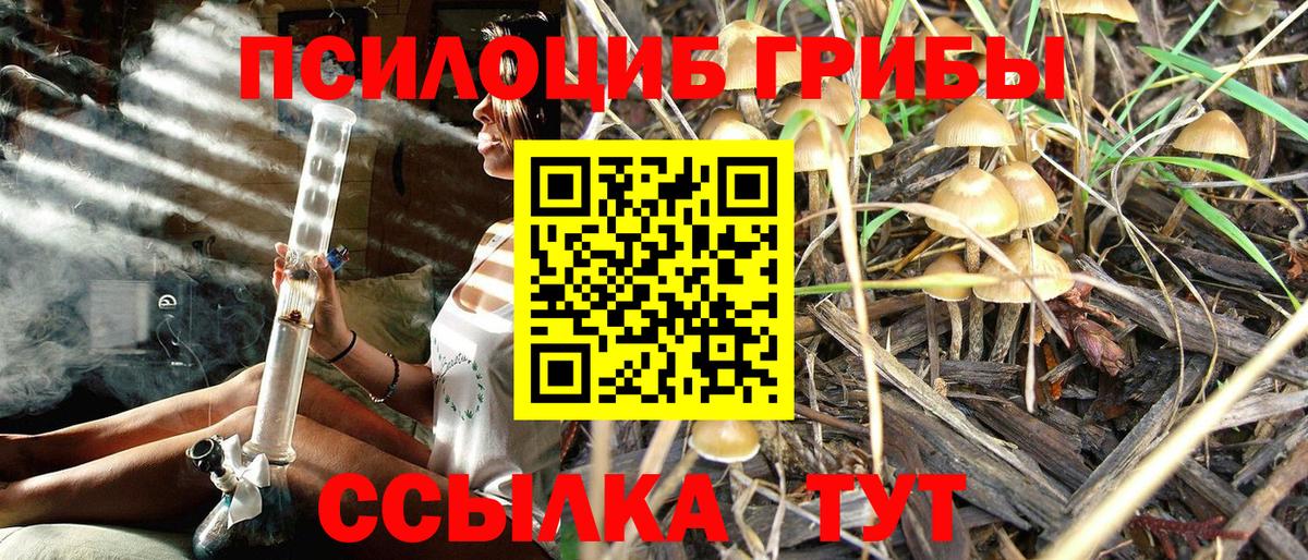 Псилоцибиновые грибы MAGIC MUSHROOMS  Вход с VPN  что такое наркотик  Люберцы 